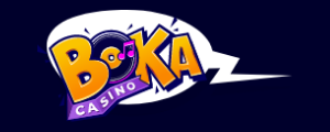 boka casino 300 x 120